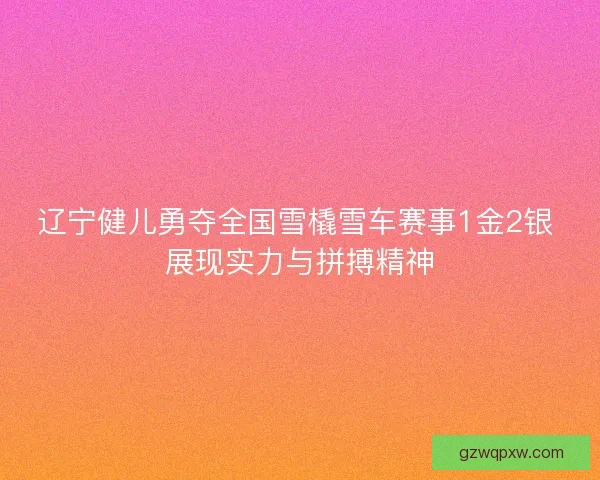 辽宁健儿勇夺全国雪橇雪车赛事1金2银 展现实力与拼搏精神