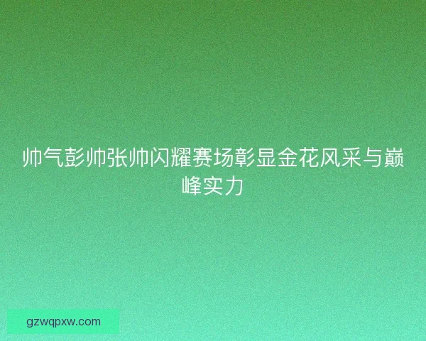 帅气彭帅张帅闪耀赛场彰显金花风采与巅峰实力 帅气彭帅张帅闪耀赛场彰显金花风采与巅峰实力